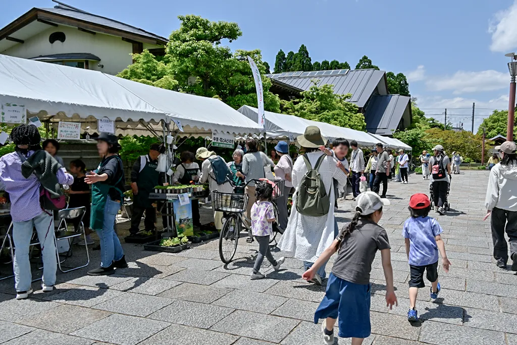 梅小路公園グリーンフェア2025秋