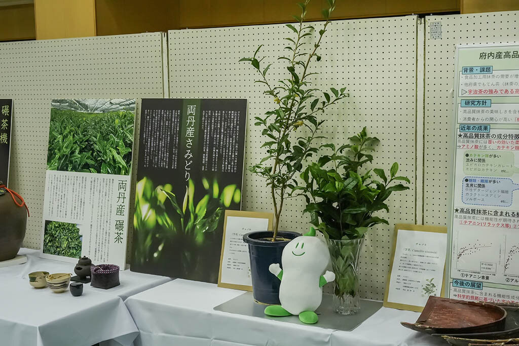 パネル展示